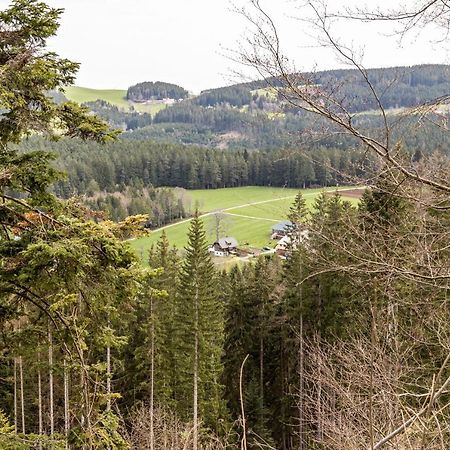 Ferienappartement Sonnenhof Triberg im Schwarzwald ภายนอก รูปภาพ