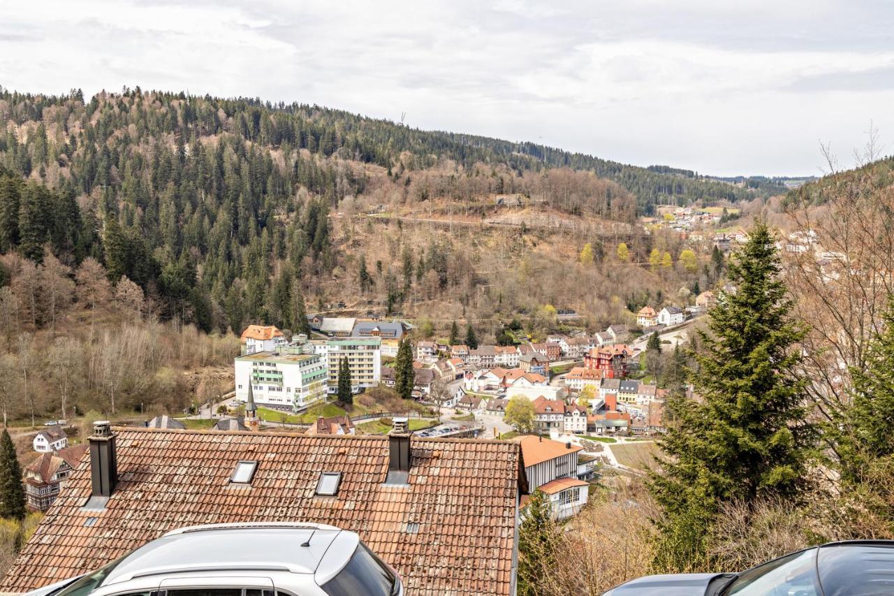 Ferienappartement Sonnenhof Triberg im Schwarzwald ภายนอก รูปภาพ
