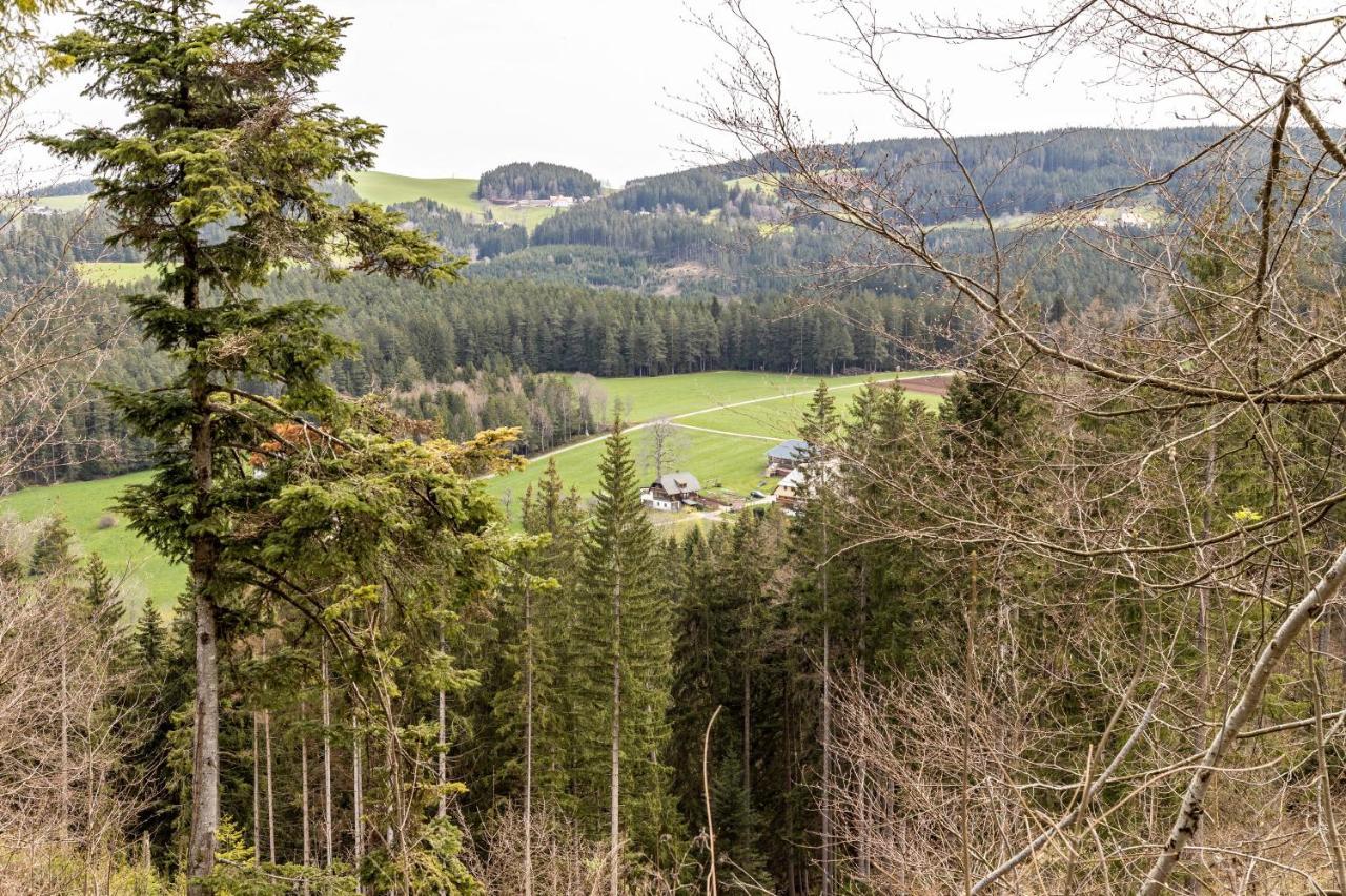 Ferienappartement Sonnenhof Triberg im Schwarzwald ภายนอก รูปภาพ